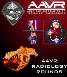 Rad-Rounds